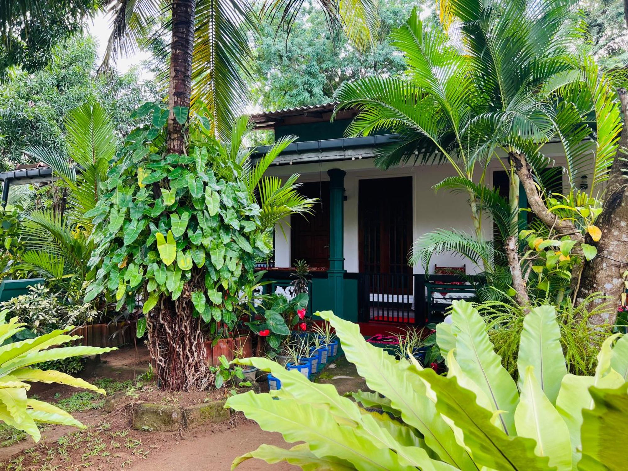Sigiri Budget Homestay Сигирия Экстерьер фото